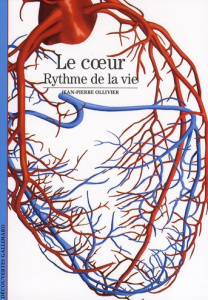 Le coeur. Rythme de la vie - Ollivier Jean-Pierre