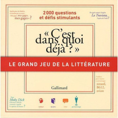 C'est dans quoi déjà ?. Le grand jeu de la littérature - COLLECTIF