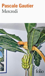 Mercredi - Gautier Pascale