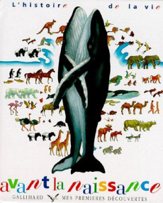 Avant la naissance - Pérols Sylvaine