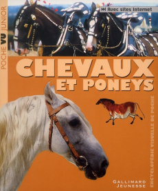 Chevaux et poneys - Alderton David