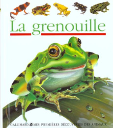 La grenouille - Moignot Daniel