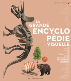 La grande encyclopédie visuelle - Davey Lizzie ; Chan Mabel