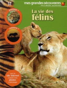 La vie des félins - COLLECTIF