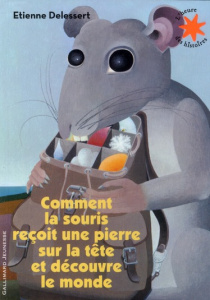 Comment la souris reçoit une pierre sur la tête et découvre le monde - Delessert Etienne ; Piaget Jean