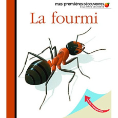 La fourmi - Mettler René
