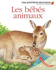 Les bébés animaux - Fuhr Ute ; Hugo Pierre de ; Mettler René ; Peyrols