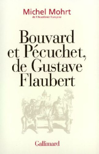 Bouvard et Pécuchet de Gustave Flaubert - Mohrt Michel
