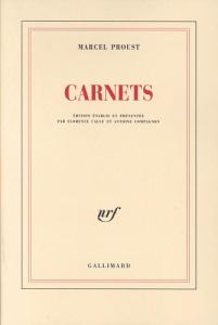 Carnets - Proust Marcel