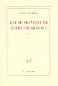 Qui se souvient de David Foenkinos ? - Foenkinos David