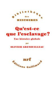 Qu'est-ce que l'esclavage ? Une histoire globale - Grenouilleau Olivier