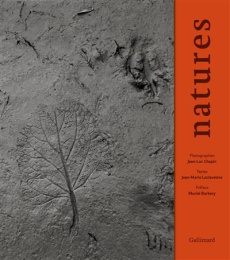 Natures - Chapin Jean-Luc ; Laclavetine Jean-Marie ; Barbery