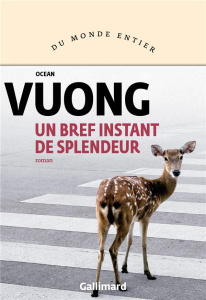 Un bref instant de splendeur - Vuong Ocean ; Capelle Marguerite