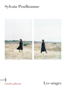 Les orages. Histoires - Prudhomme Sylvain