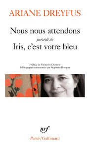 Nous nous attendons. Précédé de Iris, c'est votre bleu - Dreyfus Ariane ; Delorme Françoise ; Bouquet Stéph