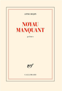 Noyau manquant - Dujin Anne