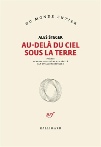 Au-delà du ciel sous la terre - Steger Ales ; Métayer Guillaume