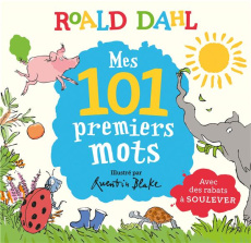Mes 101 premiers mots. Avec des rabats à soulever - Dahl Roald ; Blake Quentin