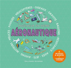 Aéronautique. Ingénieur en herbe. Avec 6 modèles à monter et 11 expériences à réaliser - Dickmann Nancy ; Rayner Geoff ; Jewitt Richard ; B