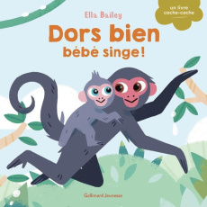 Dors bien, bébé singe ! - Bailey Ella