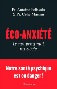 Les émotions du dérèglement climatique. Canicules, inondations, pollution... L'impact des catastroph - Massini Célie ; Pelissolo Antoine
