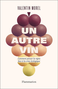 Un autre vin. Comment penser la vigne face à la crise écologique - Morel Valentin