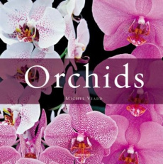 Orchids. Edition en anglais - Viard Michel