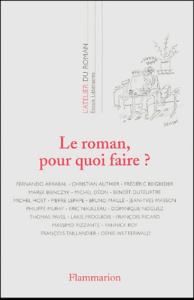 Le roman, pour quoi faire ? - COLLECTIF