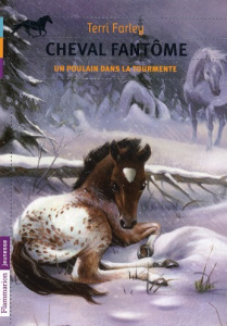 Cheval fantôme Tome 5 : Un poulain dans la tourmente - Farley Terri ; Guillet Catherine