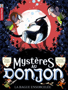 Mystères au donjon Tome 6 : La bague ensorcelée - Surget Alain ; Bernadou Karine