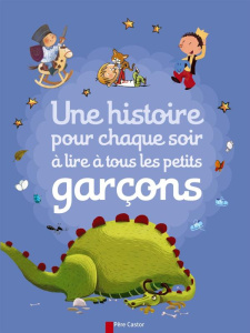 Une histoire pour chaque soir à lire à tous les petits garçons - COLLECTIF