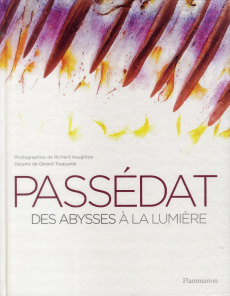 Passedat. Des abysses à la lumière - Passedat Gérald ; Haughton Richard ; Traquandi Gér