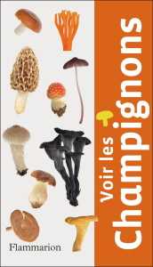 Voir les oiseaux - Holden Peter ; Saint Girons Anne ; Arlott Norman