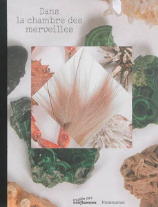 Dans la chambre des merveilles - Jacomy Bruno ; Lafont Quentin ; Lafont-Couturier H