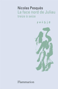 La face nord de Juliau. Treize à seize - Pesquès Nicolas