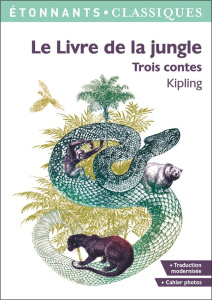 Le Livre de la jungle. Trois contes - Kipling Rudyard ; Soulier Patrice ; Fabulet Louis