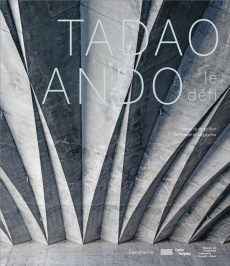 Tadao Ando. Le défi - Migayrou Frédéric ; Ando Tadao ; Lavisgnes Serge