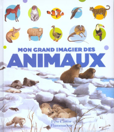 Mon grand imagier des animaux - Fronsacq Anne