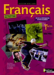 Français Tle Bac pro - Bergeret Thomas ; Bourguignon Véronique ; Planche