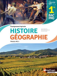 Histoire et Géographie Module MG 1 1re Bac pro enseignement agricole. Edition 2017 - Lelorrain Anne-Marie ; Larcade Louis ; Juguet Isab