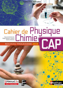 Cahier de Physique Chimie CAP. Edition 2019 - Dorian Diego ; Estevez-Brienne Jessica
