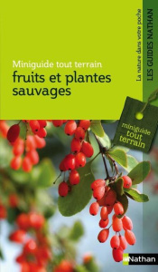 Fruits et plantes sauvages - COLLECTIF