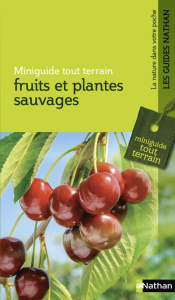 Fruits et plantes sauvages - Tamisier Ghislaine