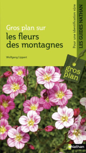 Gros plan sur les fleurs de montagne - Lippert Wolfgang