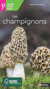 Les champignons - Garnweidner Edmund ; Tamisier-Roux Ghislaine ; Ler
