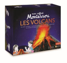 Les volcans. Avec 46 cartes, 15 fiches et 1 carte géographique - Herrmann Eve ; Rocchi Roberta ; Duco André