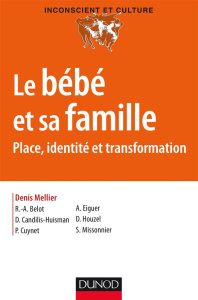 Le bébé et sa famille. Place, identité et transformation - Mellier Denis