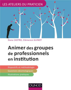 Animer des groupes de professionnels en institution - Castro Dana ; Guinot Clémence