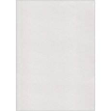 Les passions du jeune Werther - Goethe Johann Wolfgang von