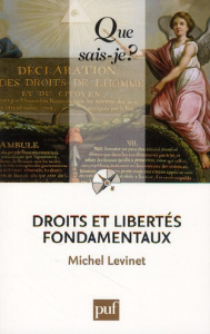 Droits et libertés fondamentaux - Levinet Michel